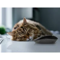 Мышь SVEN RX-515SW фото 7